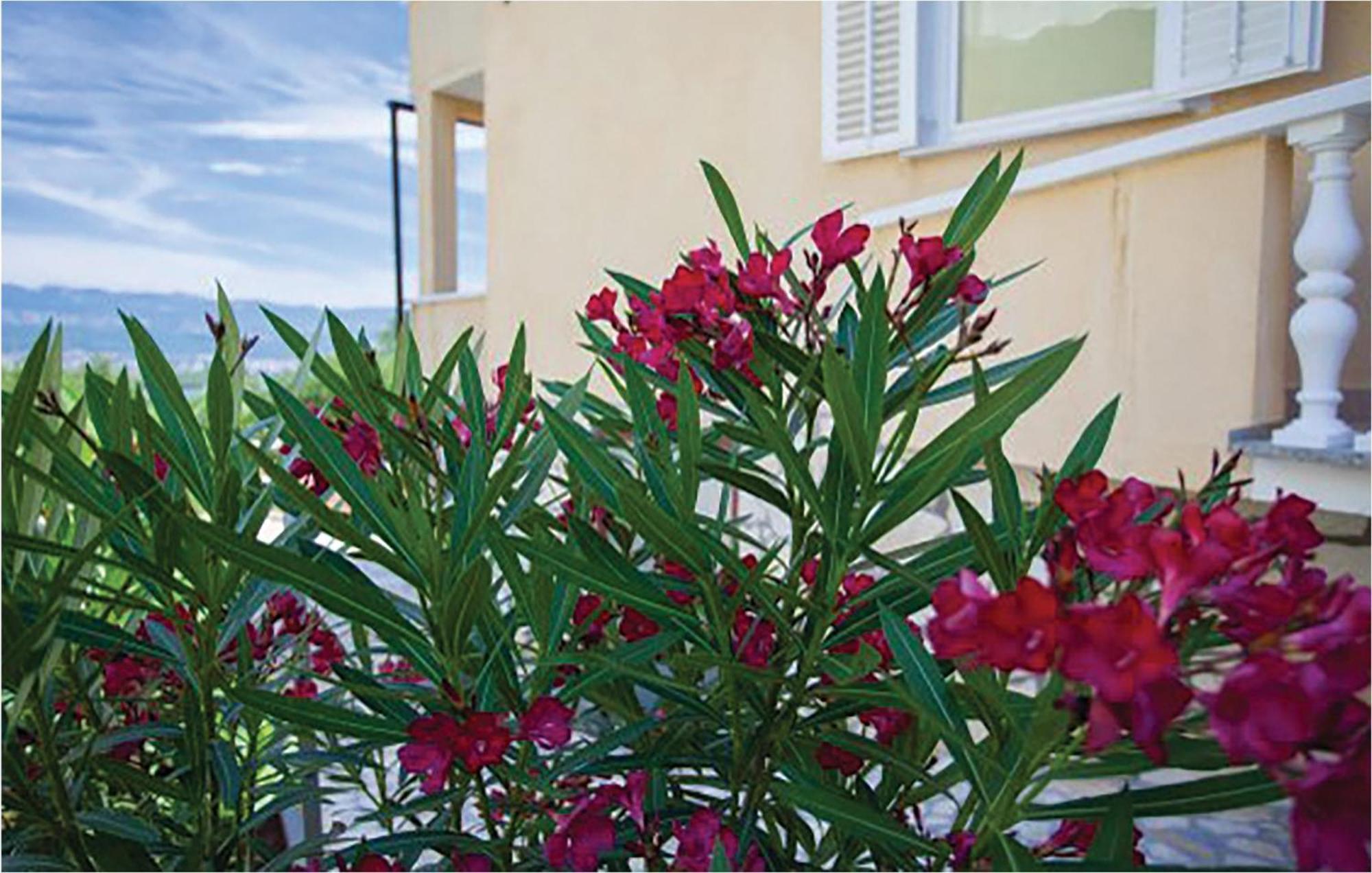 1 Bedroom Beautiful Apartment In Malinska Zewnętrze zdjęcie